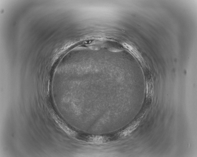 X0000087050301200704251011