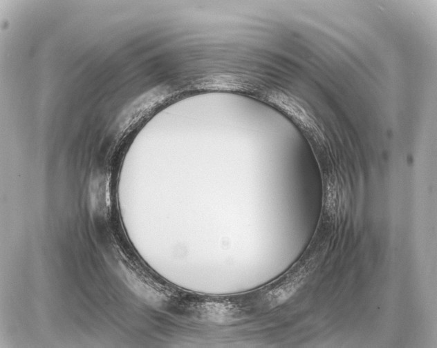 X0000087050302200704251011