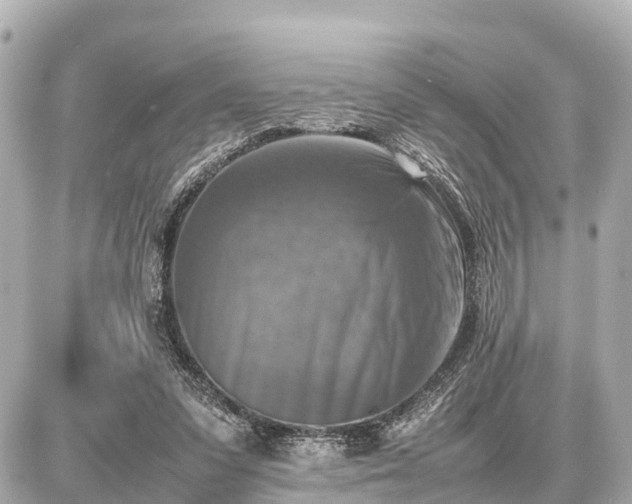 X0000087050303200704251011