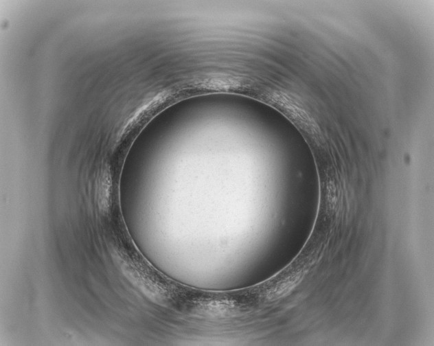 X0000087050304200704251011