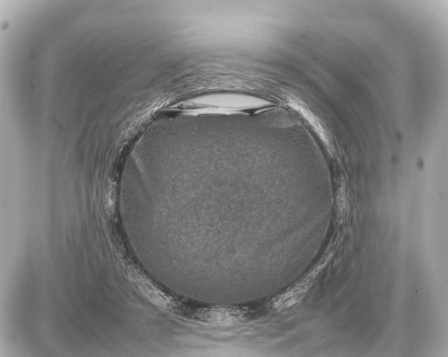 X0000087050305200704251011