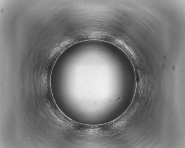 X0000087050306200704251011