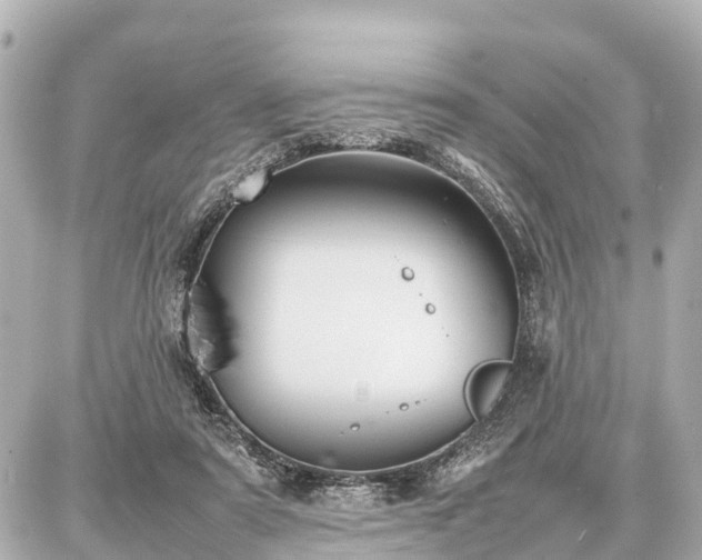 X0000087050307200704251011