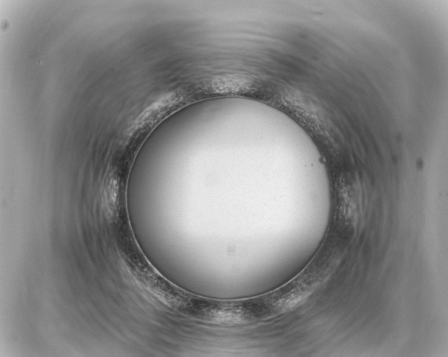 X0000087050308200704251011