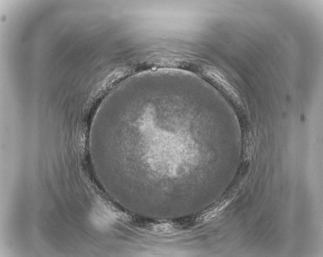 X0000087050309200704251011