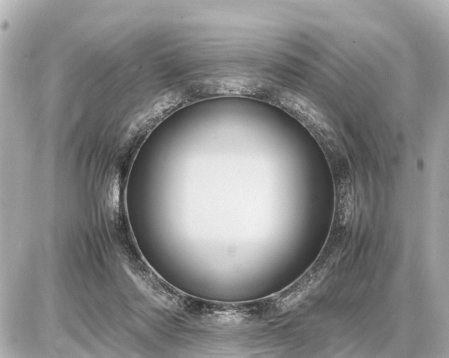 X0000087050310200704251011