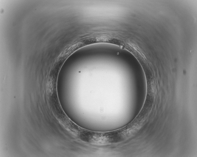 X0000087050311200704251011