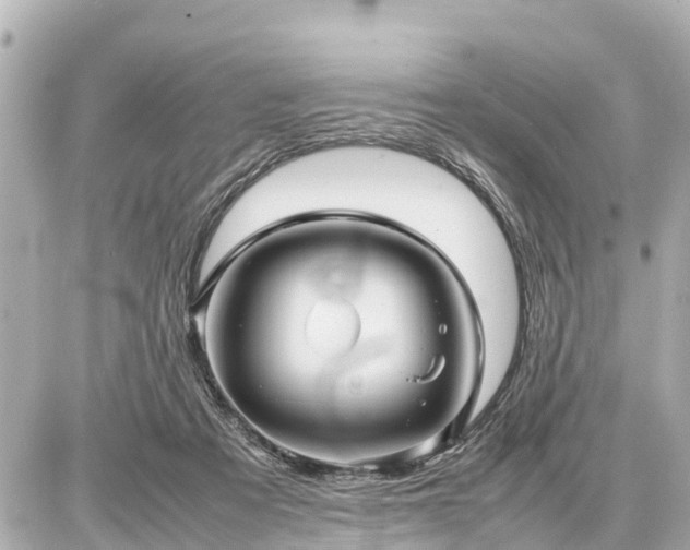 X0000087050313200704251010