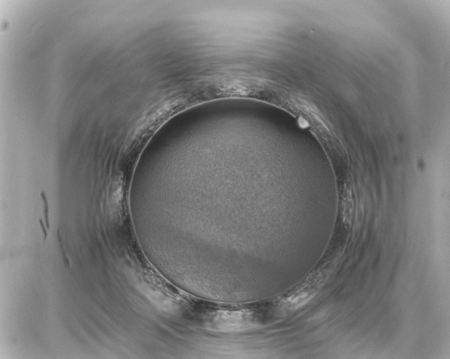 X0000087050314200704251010