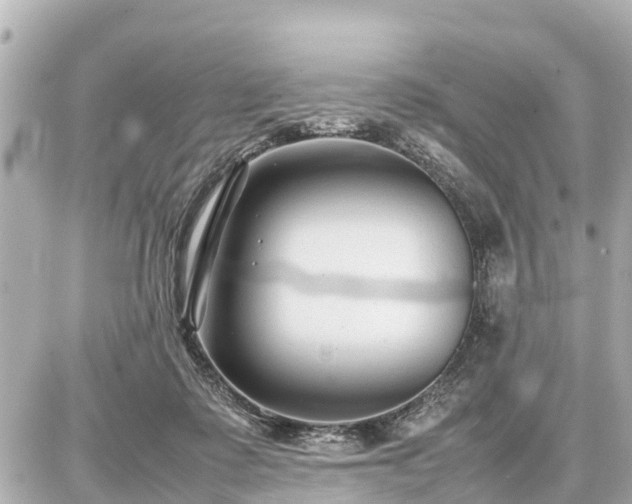 X0000087050315200704251010