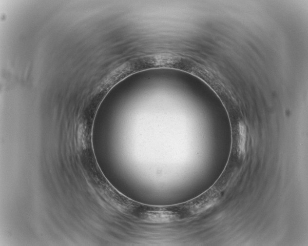 X0000087050316200704251010