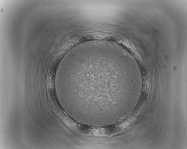 X0000087050317200704251010