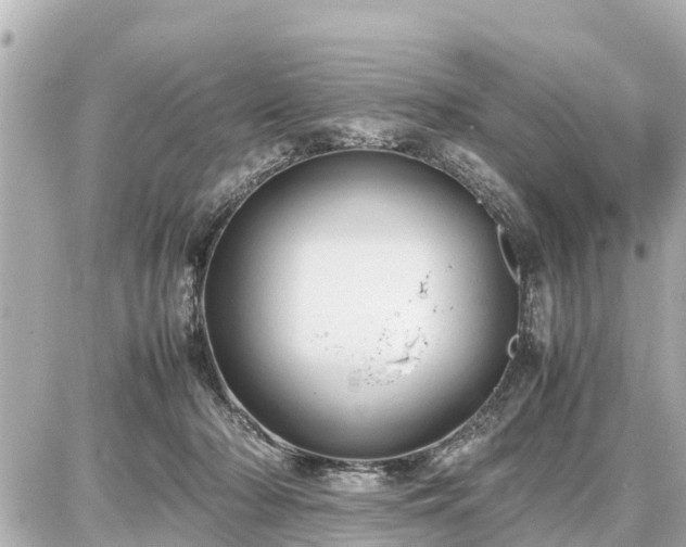 X0000087050318200704251010