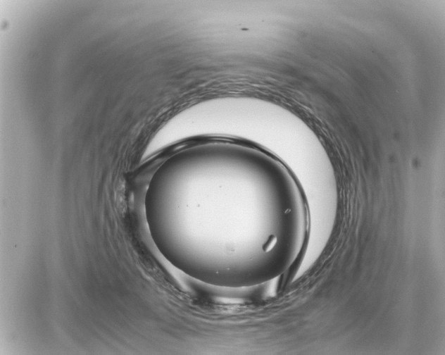 X0000087050319200704251010