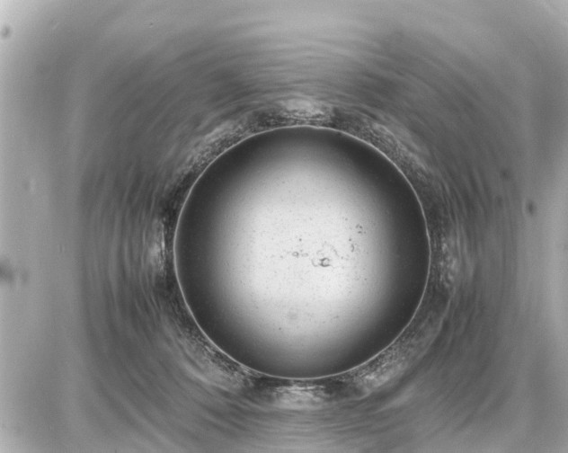 X0000087050320200704251010