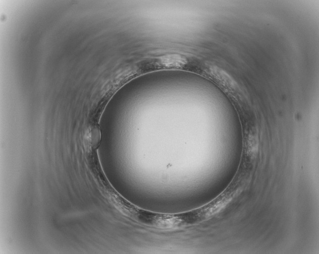 X0000087050321200704251010