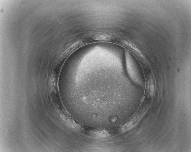 X0000087050322200704251010