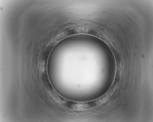 X0000087050323200704251010