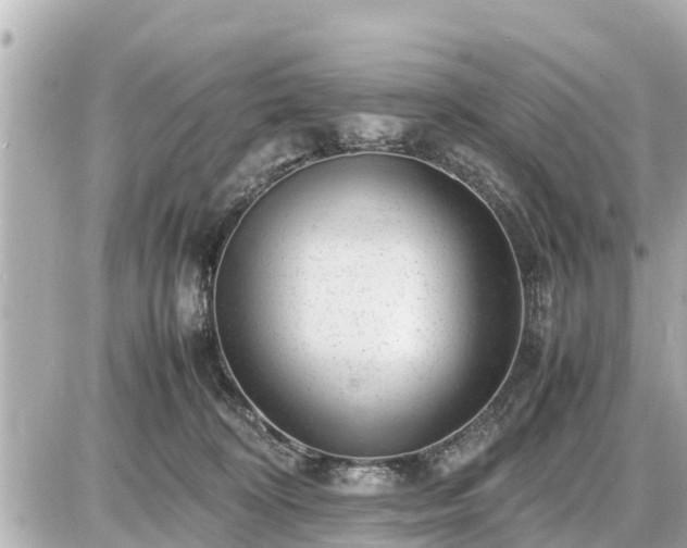 X0000087050324200704251010