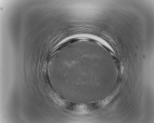 X0000087050325200704251010