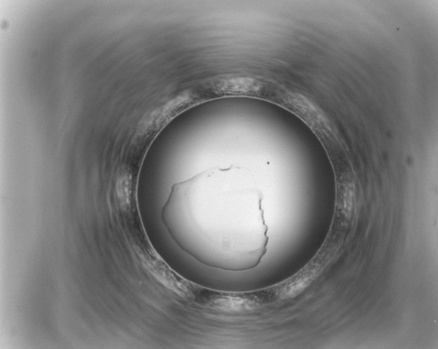 X0000087050326200704251010