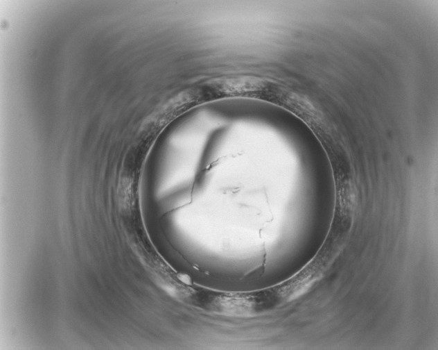 X0000087050327200704251010