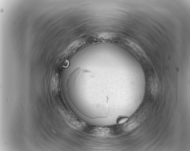 X0000087050328200704251010