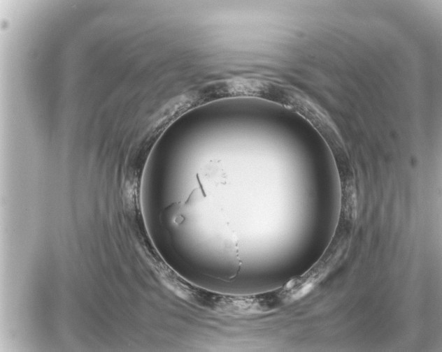 X0000087050329200704251010