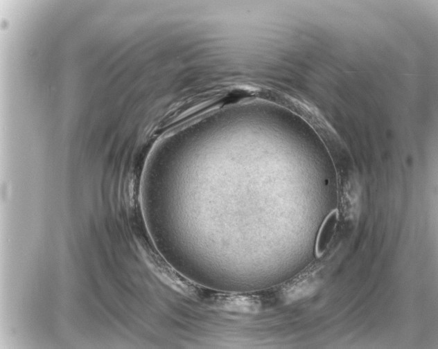 X0000087050330200704251010