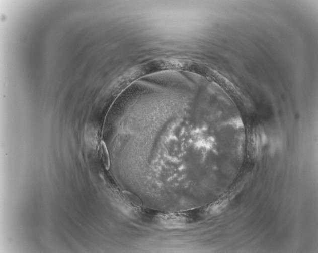 X0000087050331200704251010