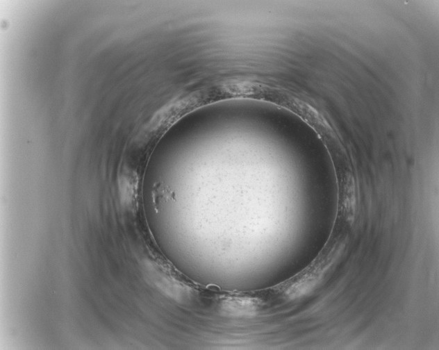 X0000087050332200704251010