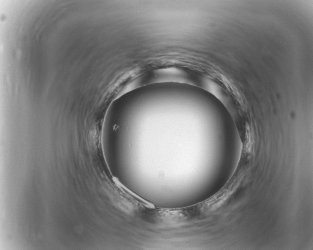 X0000087050333200704251010