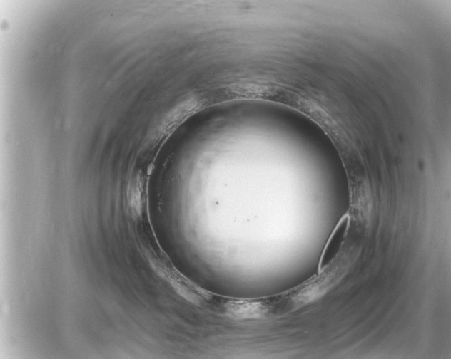 X0000087050334200704251010