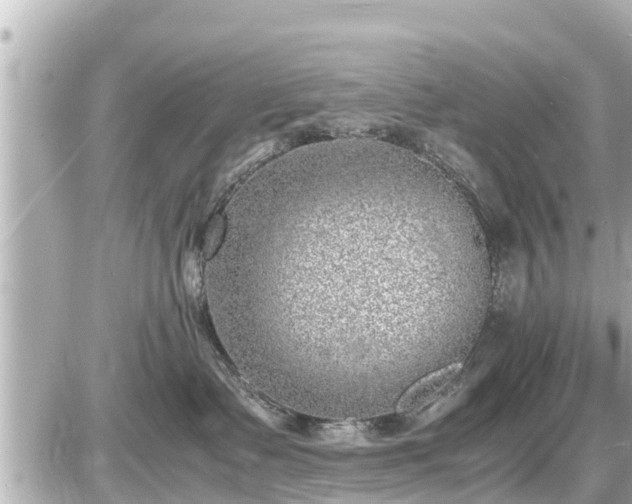 X0000087050335200704251010