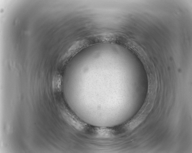 X0000087050336200704251010