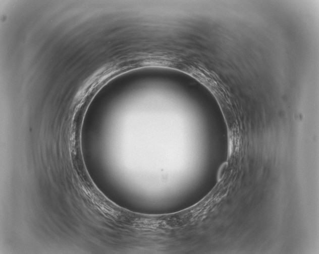 X0000087050339200704251009