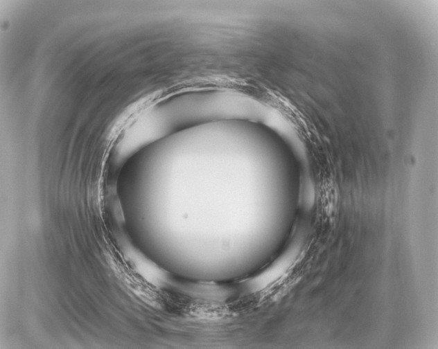 X0000087050340200704251009