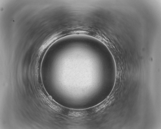 X0000087050341200704251009