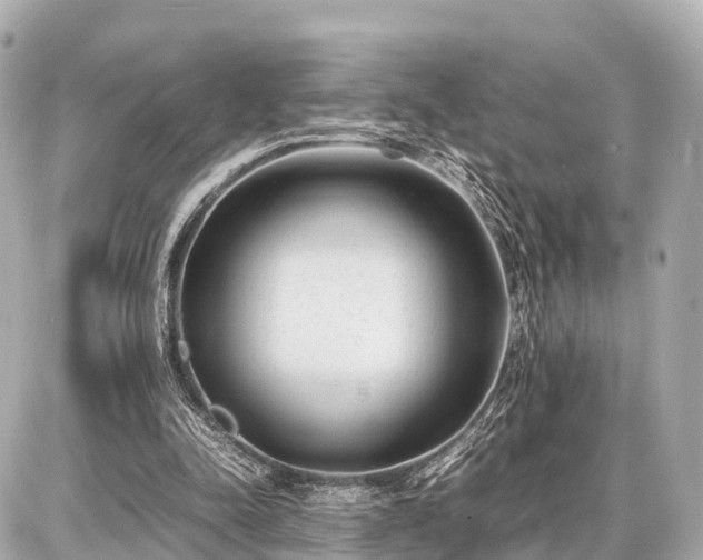 X0000087050342200704251009