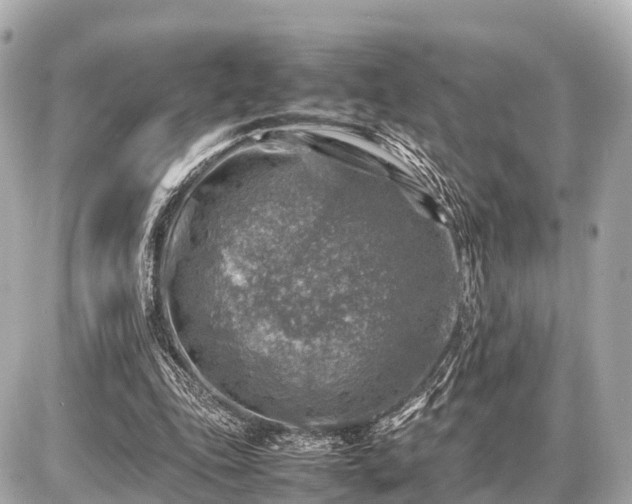 X0000087050343200704251009