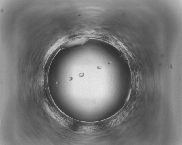 X0000087050344200704251009