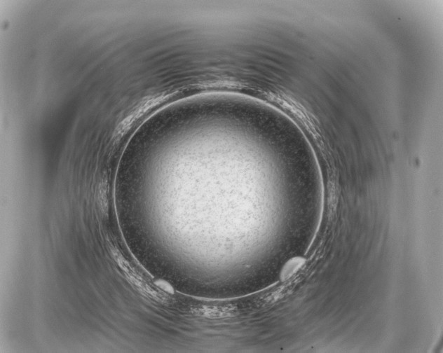 X0000087050345200704251009