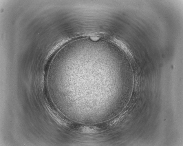 X0000087050346200704251009