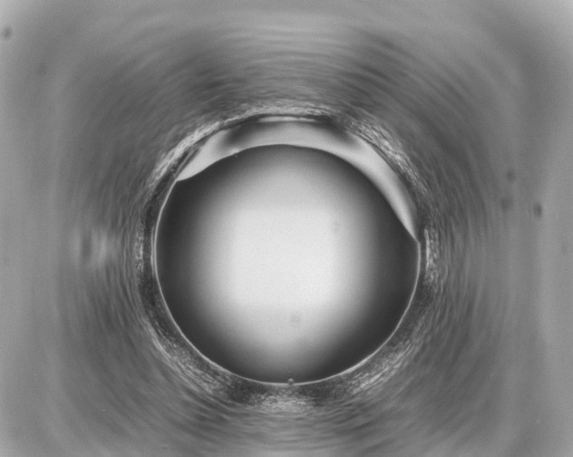 X0000087050348200704251010