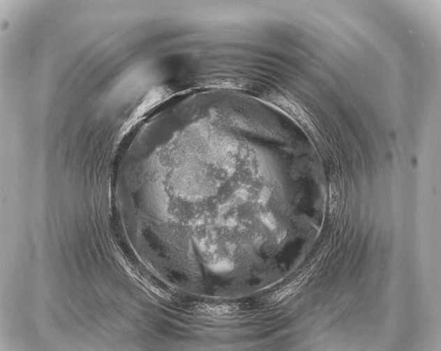 X0000087050349200704251010