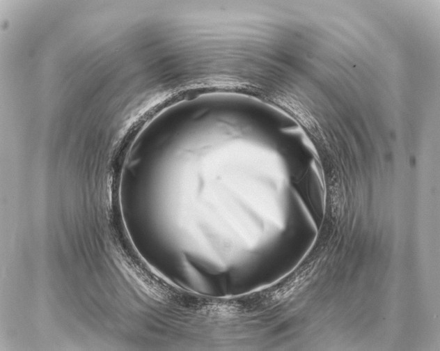 X0000087050350200704251010