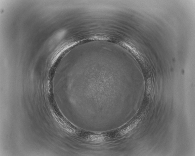 X0000087050351200704251010