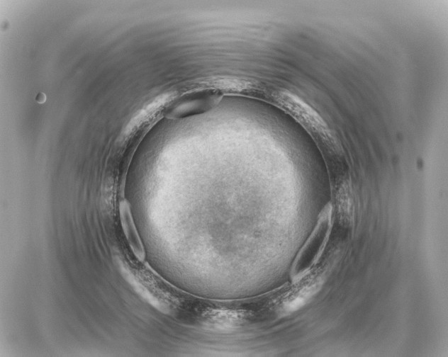 X0000087050352200704251010