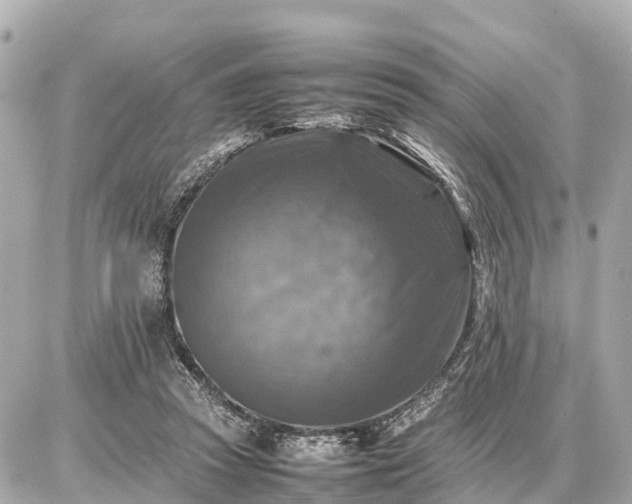 X0000087050353200704251010