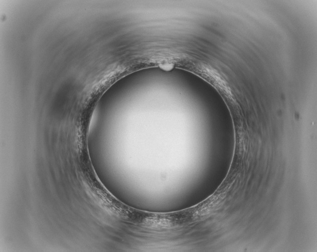 X0000087050354200704251010